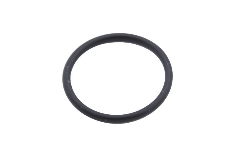 O-Ring für Minomess M22